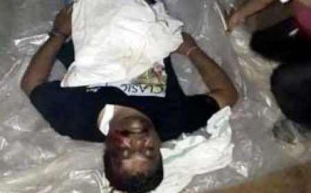 छत्तीसगढ़ में ब्रिज से नीचे गिरी कार,BSP कर्मी की मौत.....