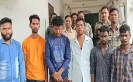 छत्तीसगढ़ में गाय को मार डाला...6 गिरफ्तार:जंगल ले जाकर काटा