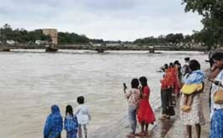 कहीं सेल्फी कहीं स्कूल जाने के लिए जोखिम में जान.........छत्तीसगढ़ में बारिश का कोटा लगभग पूरा....