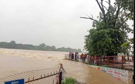 सावन की रिमझिम, दिनभर भीगी ट्विनसिटी.....जिले में अब तक 333.8 मिमी बारिश, अभी भी 25 फीसदी कम....