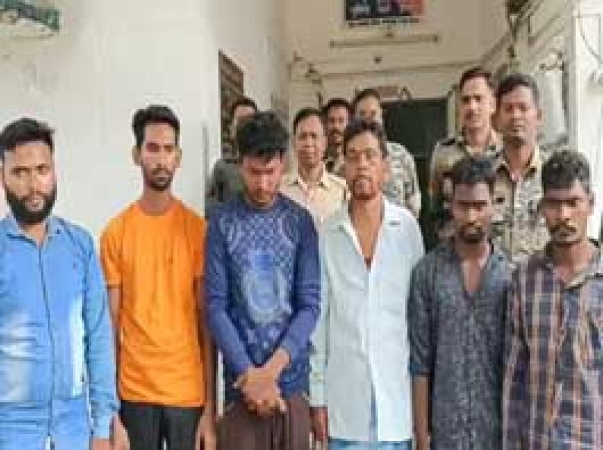 छत्तीसगढ़ में गाय को मार डाला...6 गिरफ्तार:जंगल ले जाकर काटा