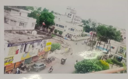 10 एकड़ की सरकारी नजूल जमीन पर अतिक्रमण कर प्लॉट काटकर बेचा, जांच के बाद भी कार्रवाई नहीं