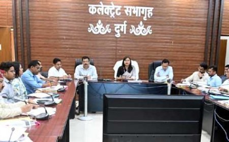 मुख्य सड़कों से पशुओं को हटाने गतिविधियां सतत् चलती रहे - कलेक्टर सुश्री चौधरी