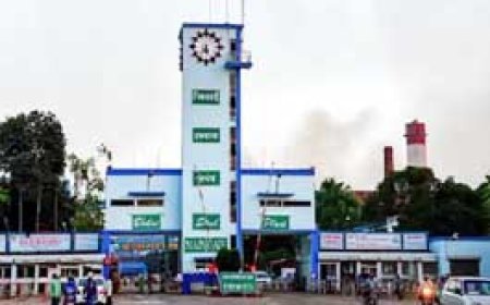 BSP में पोल से टकराया कर्मचारी, मौत.....सेक्टर 9 हॉस्पिटल में इलाज के दौरान तोड़ा दम...