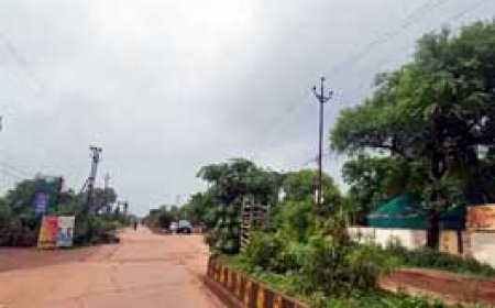 4 दिनों से बारिश नहीं...बढ़ी गर्मी और उमस.....दिनभर धूप से 33 डिग्री पहुंचा तापमान....