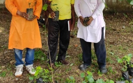 महात्मा गांधी अंतरराष्ट्रीय विचार मंच के तत्वाधान में  बरगद नीम के पौधे लगाने के लिए विशेष आयोजन......