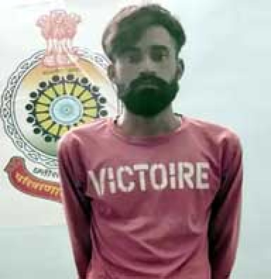 हरियाणवी गैंगस्टर के गुर्गे के पास मिली पिस्टल और गोली, अब तक 8 अरेस्ट
