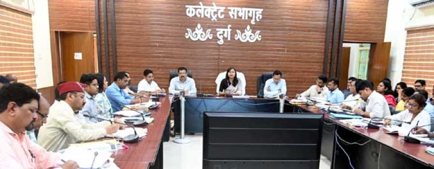 मुख्य सड़कों से पशुओं को हटाने गतिविधियां सतत् चलती रहे - कलेक्टर सुश्री चौधरी