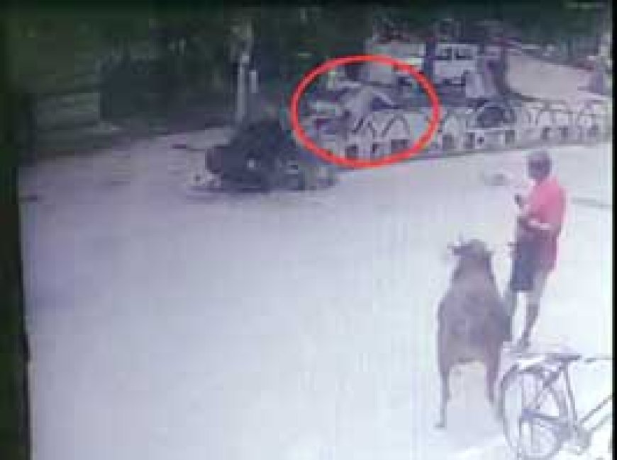 पहले डिवाइडर से टकराई स्कूटी, फिर कार ने रौंदा:एक युवक की मौत, दो घायल