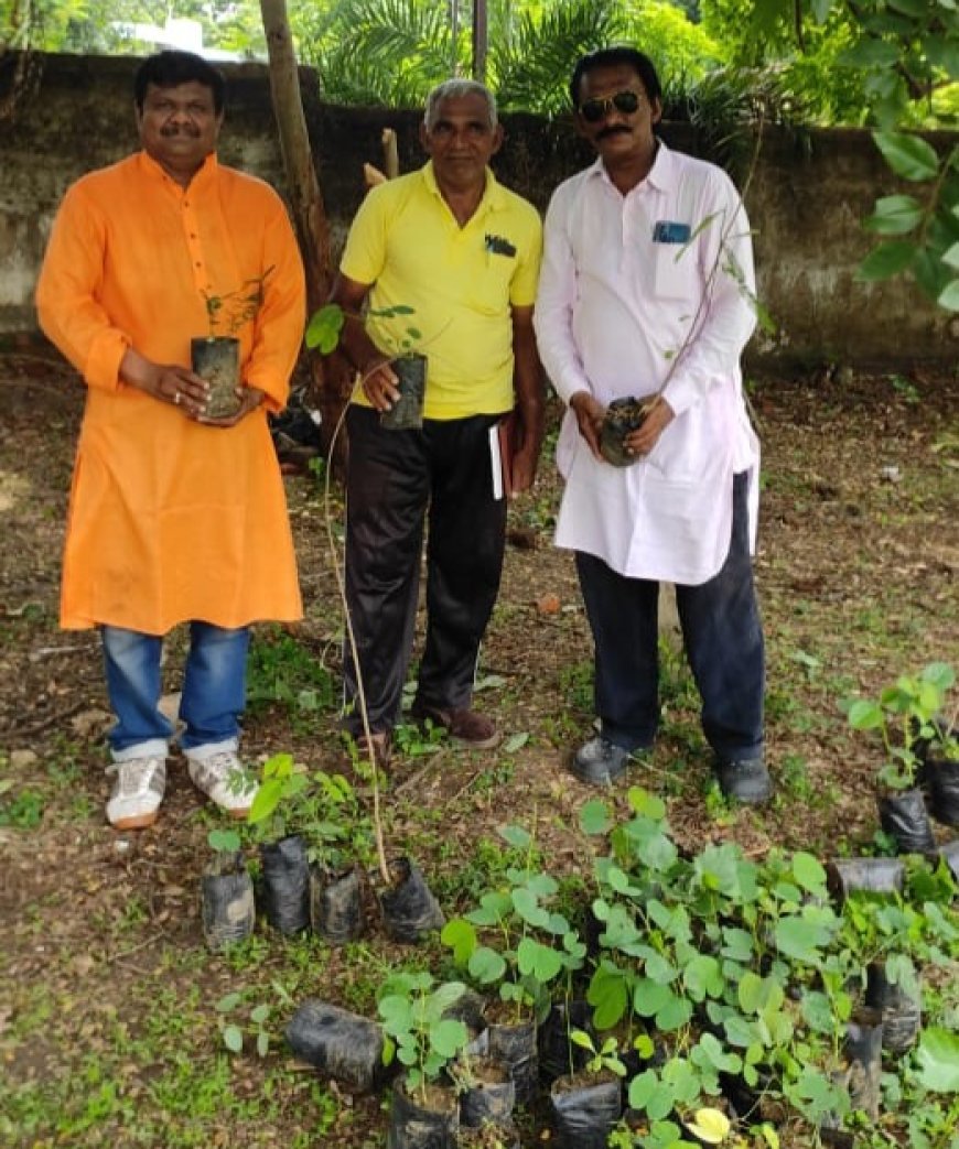 महात्मा गांधी अंतरराष्ट्रीय विचार मंच के तत्वाधान में बरगद नीम के पौधे लगाने के लिए विशेष आयोजन......