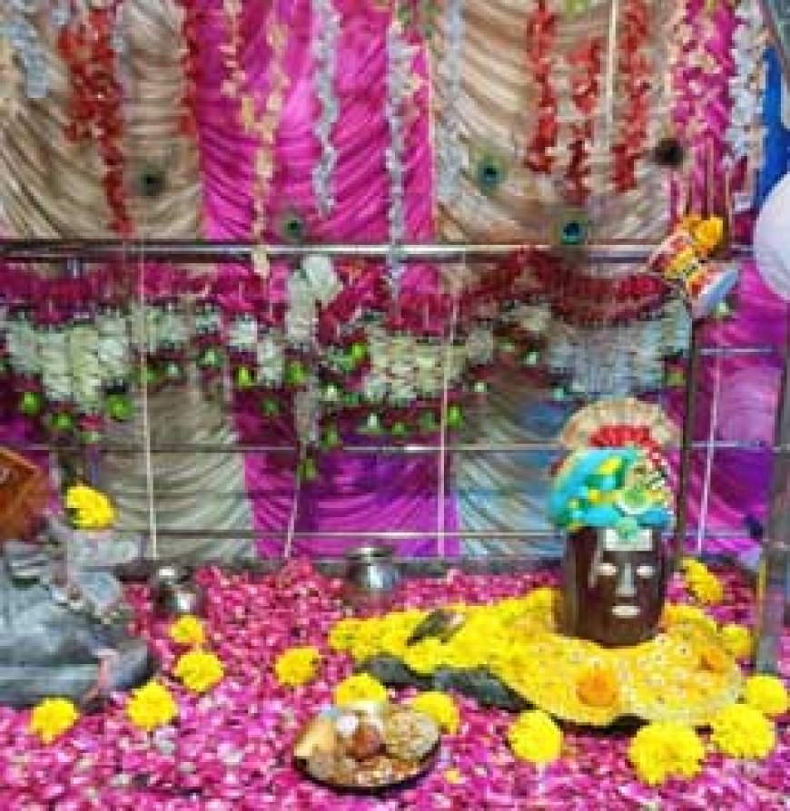 शिव शक्ति महिला समूह राधिका नगर द्वारा कृष्ण जन्माष्टमी हर्षोल्लास पूर्वक मनाया गया