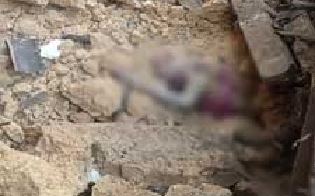 रायगढ़ में ढहा मकान, मलबे में दबकर महिला की मौत...सुबह नाश्ता बना रही थी; तभी भर-भराकर गिर गया घर