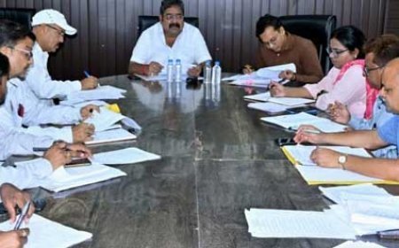 स्वाइन फ्लू के बढ़ते प्रभाव को देखते हुए महापौर नीरज पाल ने अधिकारियों की बैठक ली