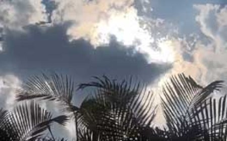 बारिश पर ब्रेक.. 2 दिनों तक सताएगी गर्मी.....अगले 48 घंटे बाद भीगेगा बस्तर संभाग