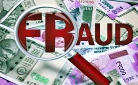 छत्तीसगढ़ में CBI अधिकारी बनकर 1 करोड़ की ठगी......घोटाले की जांच का हवाला देकर NRI के पिता से धोखाधड़ी..