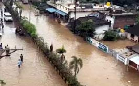 सुकमा-कोंडागांव से ओडिशा रूट बंद, कई मकान ढहे......रायपुर-बिलासपुर-बस्तर संभाग में बारिश का अलर्ट