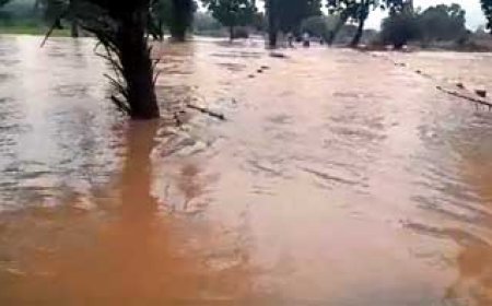 ब्रेकिंग : छत्तीसगढ़ का महाराष्ट्र सहित 4 राज्यों से संपर्क कटा......सुकमा-बीजापुर में बाढ़ के हालात, रायपुर के कई इलाके डूबे....