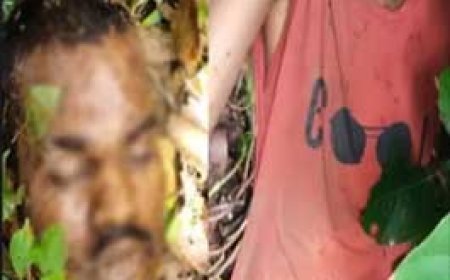 युवक की गर्दन काटकर हत्या, जंगल में मिली सिर धड़ से अलग लाश, सड़क से घसीटकर ले गए