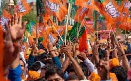 भारतीय जनता पार्टी युवा मोर्चा प्रदेश नेतृत्व के निर्देश पर जिला भिलाई में सदस्यता अभियान 2024 हेतु जिला प्रभारियो और मण्डल प्रभारियो की नियुक्ति