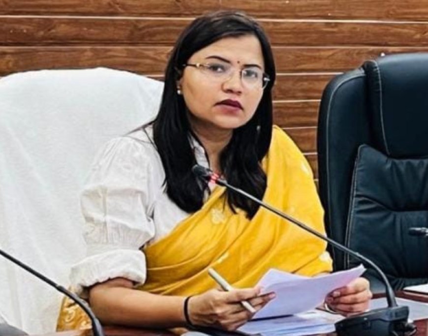 मौसमी बीमारियों की रोकथाम हेतु समस्त स्वास्थ्य संस्थाएं जारी दिशा-निर्देशों का पालन करें- कलेक्टर ऋचा प्रकाश चौधरी