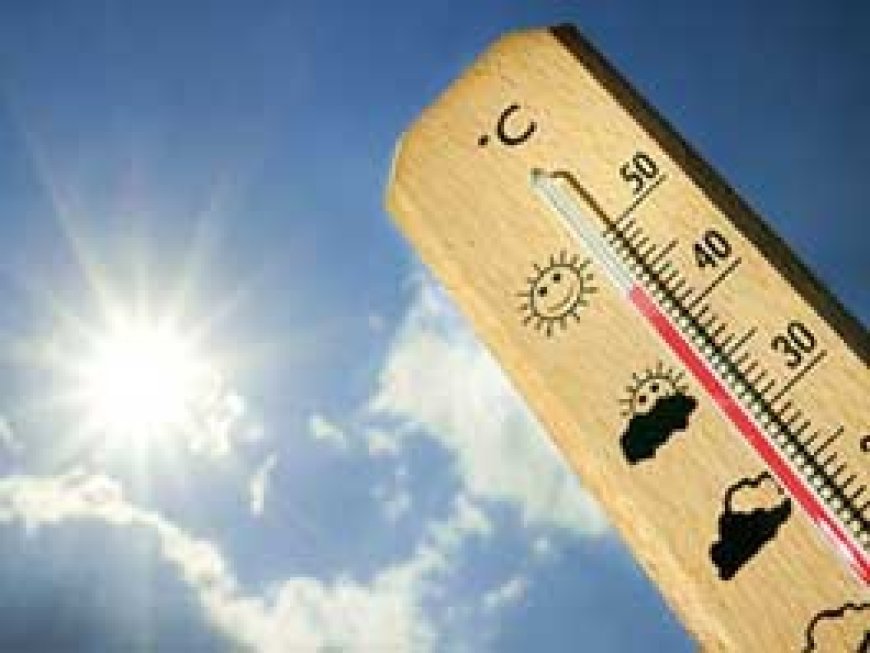 दिन में चटकीली धूप, पारा 34 डिग्री पर पहुंचा, रात में उमस से लोग हो रहे परेशान