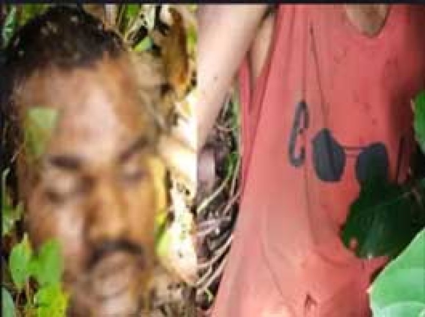 युवक की गर्दन काटकर हत्या, जंगल में मिली सिर धड़ से अलग लाश, सड़क से घसीटकर ले गए
