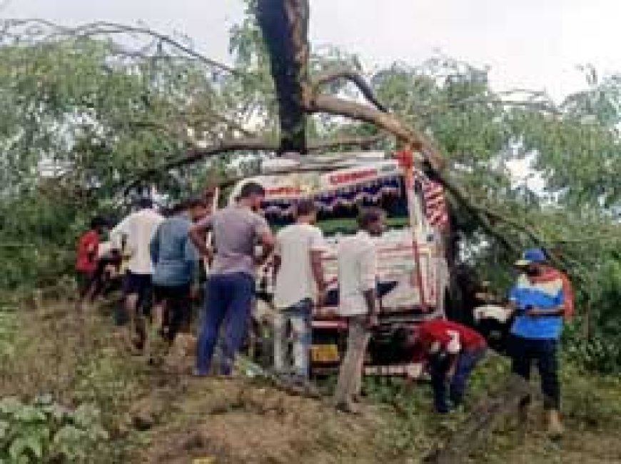 ट्रक की टक्कर से पति को चोट,पत्नी का टूटा पैर....दुर्ग में पेड़ को तोड़ते हुए ट्रक घुसा...