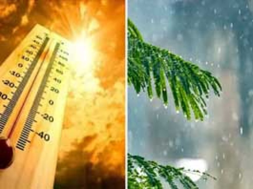 दुर्ग में 25 प्रतिशत कम हुई बारिश....तेज धूप निकलने से बढ़ी गर्मी, 32 डिग्री अधिकतम तापमान......