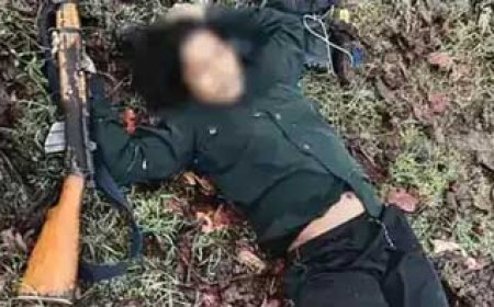 छत्तीसगढ़ में मुठभेड़ में मारे गए 30 नक्सली...दंतेवाड़ा-नारायणपुर बॉर्डर पर हुई मुठभेड़