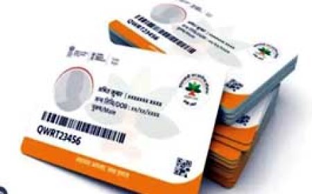 स्वास्थ्य मितानों को पिछले चार महीने से वेतन नहीं आयुष्मान कार्ड बनाना बंद, 700 परिवार संकट में