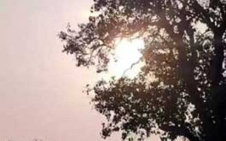 छत्तीसगढ़ से अगले 2 दिन में विदा हो जाएगा मानसून......रायपुर सहित कई इलाकों से लौटा; शुष्क हवाओं के आने से अब रातें होंगी ठंडी