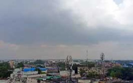 रायपुर, दुर्ग, बस्तर संभाग में 3 दिन बारिश के आसार.....17 जिलों में आज बिजली गिरने की चेतावनी....