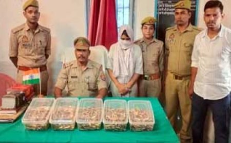 जीआरपी को महिला यात्री के ट्रॉली बैग से मिले 750 कारतूस, ट्रेन में मच गया हड़कंप