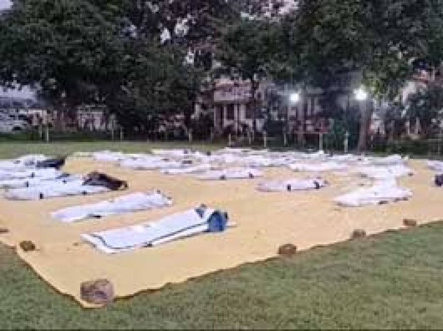 मकड़ी से सीखकर नक्सलियों को फंसाया जाल में....छत्तीसगढ़ में 60 से ज्यादा जवानों की हत्यारी 'निर्मला' भी ढेर; नक्सल ऑपरेशन की कहानी