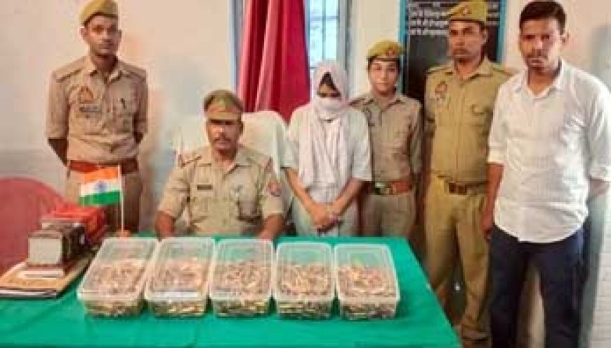 जीआरपी को महिला यात्री के ट्रॉली बैग से मिले 750 कारतूस, ट्रेन में मच गया हड़कंप