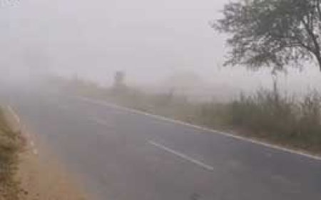 रायपुर में अधिकतम तापमान 33 डिग्री के करीब:प्रदेश में 3 दिन तक न्यूनतम तापमान में कोई बदलाव नहीं; 15 नवंबर के बाद ठंड