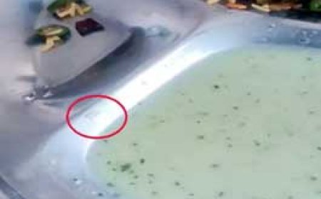 बिरयानी के रायते में निकली जिंदा इल्लियां.....भिलाई के अल-लजीज बिरियानी का मामला, मैदे और सामान में मिले कीड़े