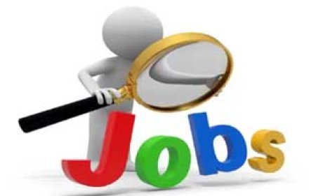 250 पदों पर प्लेसमेंट कैम्प का आयोजन 29 नवम्बर को, आंगनबाड़ी सहायिका पद हेतु आवेदन 11 दिसम्बर तक