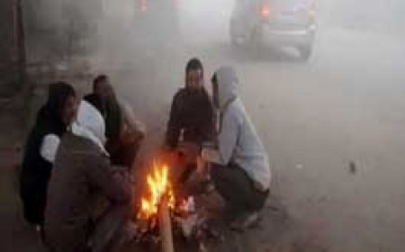 दुर्ग-भिलाई में सुबह से छाने लगा कोहरा...ठंड भी बढ़ी, न्यूनतम तापमान पहुंचा 12 डिग्री