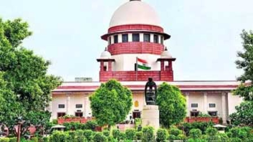 कोई भी धर्म प्रदूषण बढ़ाने को बढ़ावा नहीं देता, सालभर पटाखा बैन पर विचार करे सरकार: सुप्रीम कोर्ट