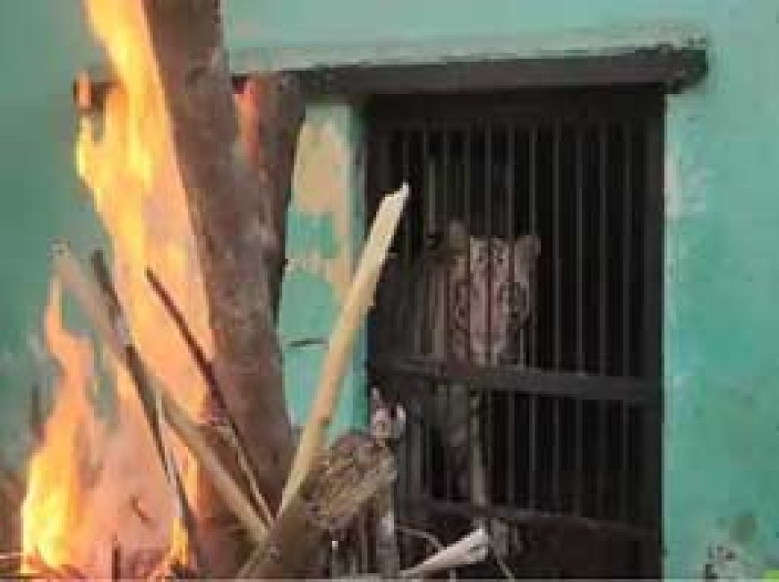 भिलाई में न्यूनतम तापमान 12 डिग्री पर पहुंचा, मैत्री बाग में व्हाइट टाइगर के केज के सामने अलाव का इंतजाम