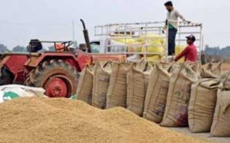 छत्तीसगढ़ में अब तक 26.04 लाख मीट्रिक टन धान की हुई खरीदी, शिकायत एवं निवारण के लिये हेल्प लाइन नंबर 0771-2425463 जारी
