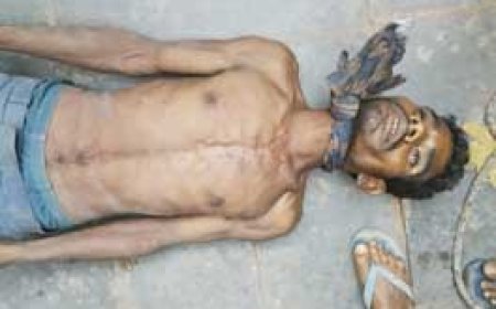 ब्रेकिंग न्यूज : युवक ने लगाई पेड़ पर फांसी....पुलिस की टीम जुटी युवक की पहचान करने में