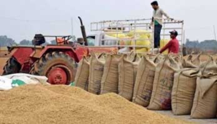 छत्तीसगढ़ में अब तक 26.04 लाख मीट्रिक टन धान की हुई खरीदी, शिकायत एवं निवारण के लिये हेल्प लाइन नंबर 0771-2425463 जारी