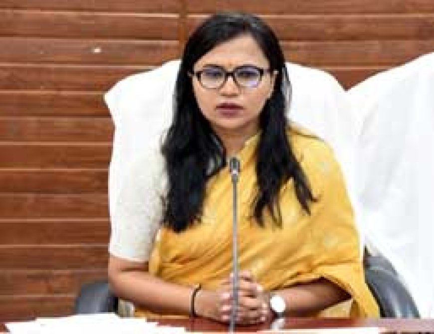 25 दिसंबर सुशासन दिवस पर सभी पंचायतों के अटल चौक और नगरीय निकायों के अटल परिसर में होंगे कार्यक्रम- कलेक्टर ऋचा प्रकाश चौधरी