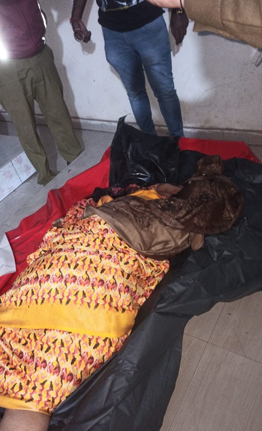नेहरू नगर गुरुद्वारा के सामने हुए एक सड़क हादसे में आम्रपाली निवासी महिला कमलेश अग्रवाल की दर्दनाक मौत