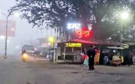 2 दिन शीतलहर का अलर्ट, कंपाने वाली पड़ेगी ठंड:सर्द हवाओं से बढ़ी ठिठुरन