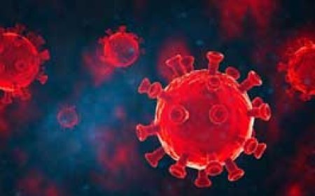 चीन में HMPV के बढ़ते कहर को लेकर भारत भी हुआ अलर्ट, जारी की गाइडलाइन