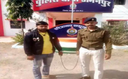 मंदिरों से मूर्ति चोरी करने वाला गिरफ्तार, दोस्त के साथ मिलकर की वारदात