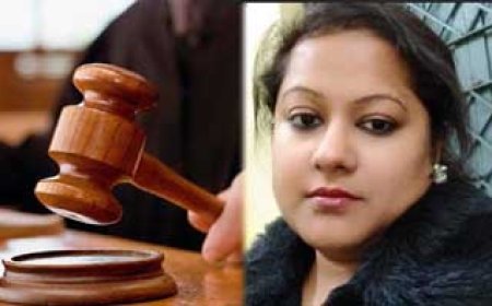  सौम्या चौरसिया को ज़मानत मिली, रायपुर कोर्ट ने दी ज़मानत...